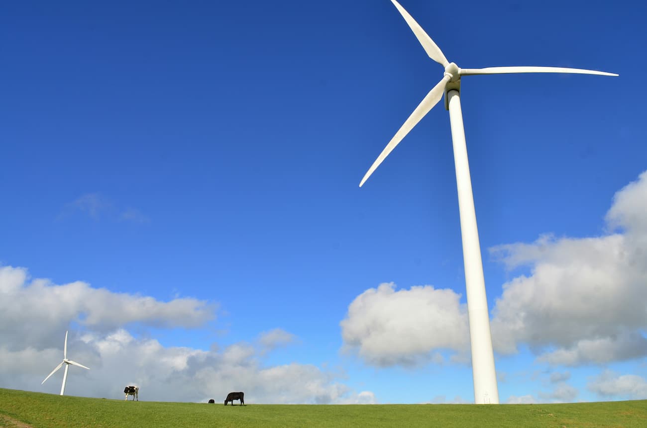 Wind turbines on field